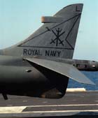 Close-up detail view of the vertical tail fin and horizontal plane of a BAe Sea Harrier; color